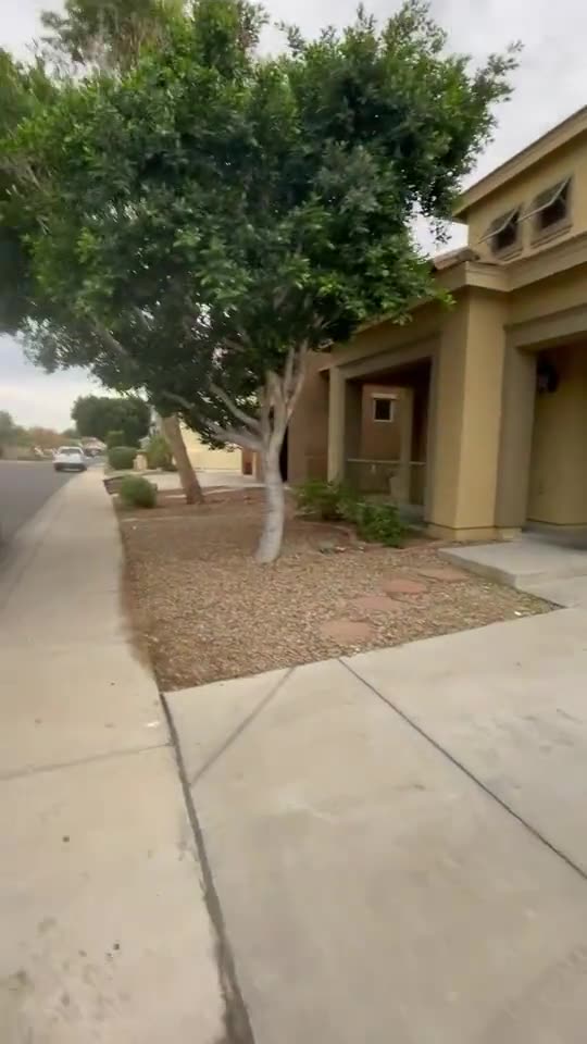 Refreshed front yard with mature tree and desert gravel