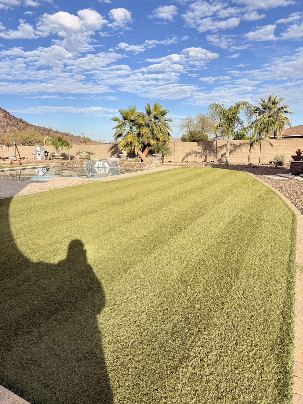 Fresh sod install by pool